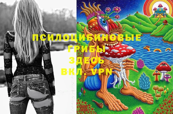 таблы Михайловск