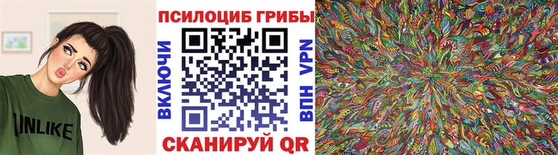 Псилоцибиновые грибы Psilocybe  Купить  Карачаевск 